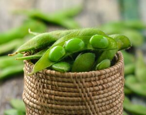 green soy beans in the basket
